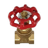 Red handwheel gate valve